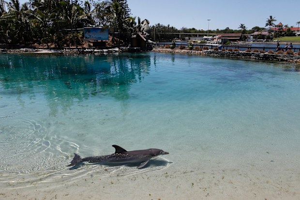 World Animal Protection argues the enclosures do not sufficiently match the marine environment.