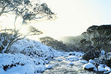 7. Thredbo