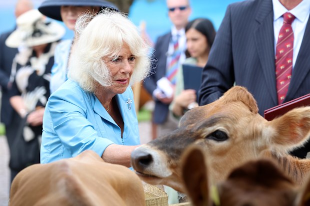 Queen Camilla