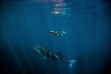9. Ningaloo Reef, WA