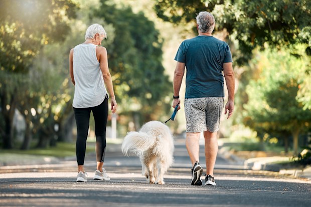 Senior couple, dog walk and nature park road during exercise, walking and leisure during a stroll through the woods. Old man and woman being active for energy and living healthy with a pet outside