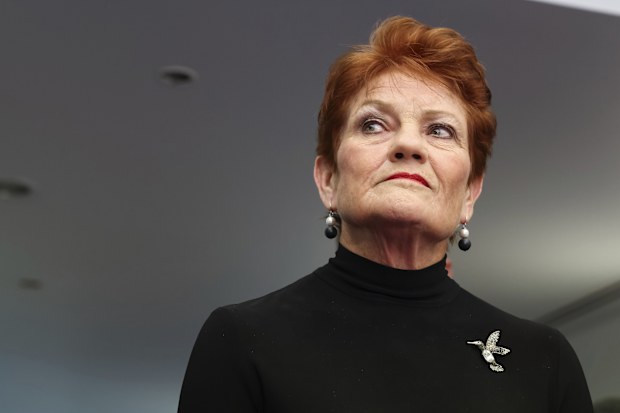 One Nation leader Senator Pauline Hanson during a doorstop interview in the press gallery at Parliament House in Canberra on Wednesday 25 March 2026. fedpol Photo: Alex Ellinghausen