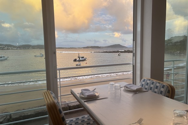 things to do in terrigal - the tropic