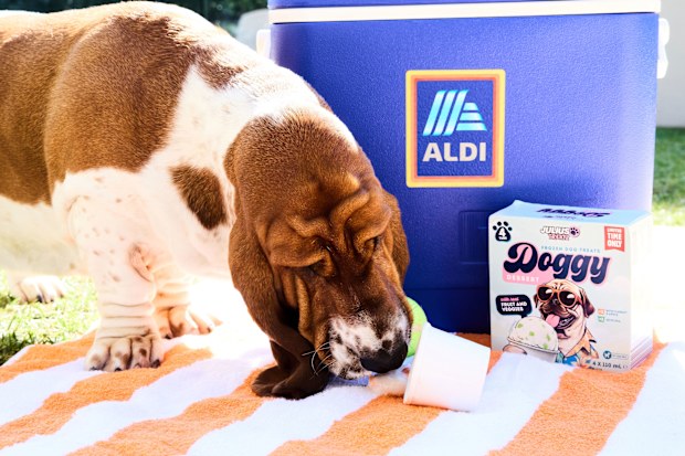 Aldi releases Doggy Dessert as budget dog ice cream option | Nine.com.au