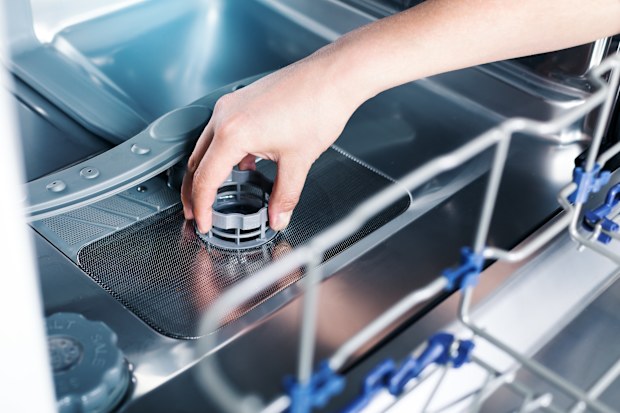 Dishwasher filter