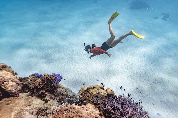 Sea Kayaking Tour with Exmouth Adventure Co., Ningaloo