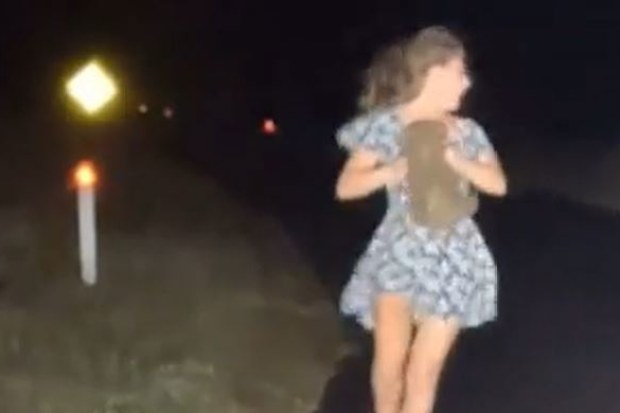 Influencer seen taking baby wombat