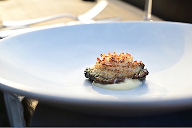 7. Pāua (endemic abalone) - in season year-round with restrictions