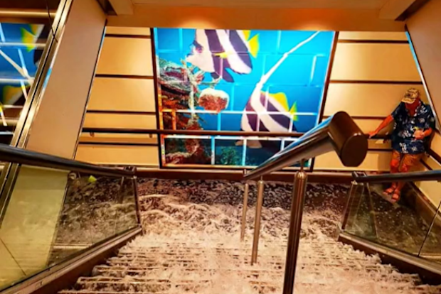 A group of cruise passengers woke to find a 'titanic-like' scene unfolding in their cabin sharing the footage on TikTok.