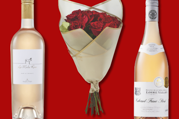 Aldi valentines