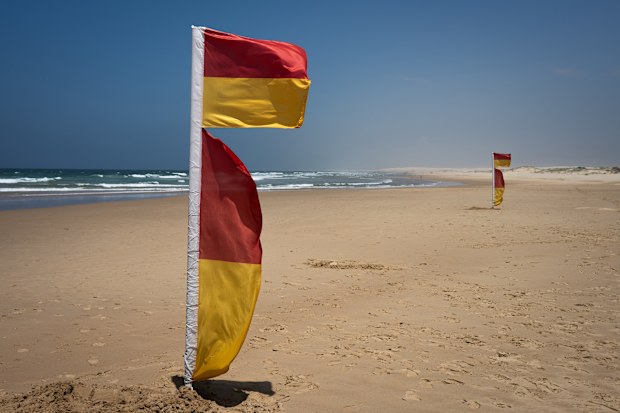 'This is a wake-up call': Drownings in Australia hit record high | Nine ...