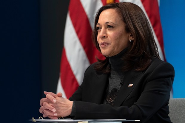 Vice President Kamala Harris  during a video conference on February 18, 2021