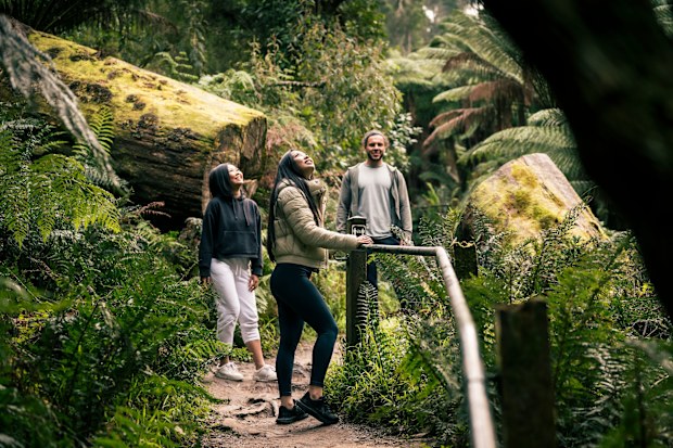 Kokoda Memorial Trail Victoria
