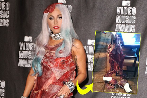lady gaga beef jerky dress Lady Gaga Explains Her Meat Dress: 'It's No Disrespect'