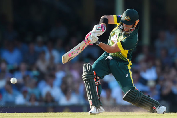 David Warner. (AAP)