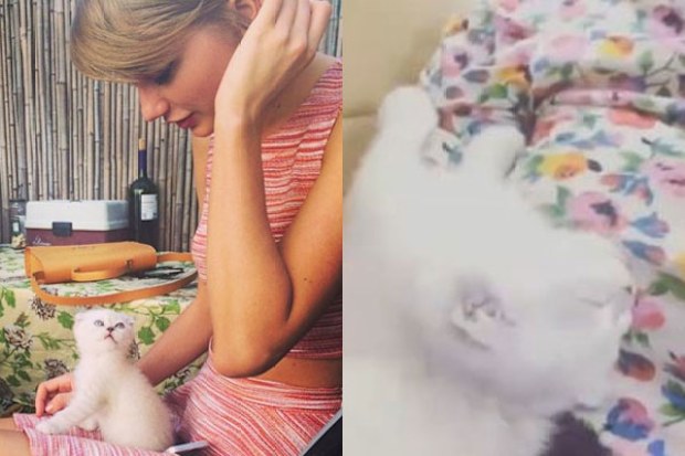 Taylor Swift