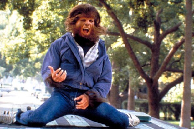 Forget the virtually hairless Taylor Lautner, Michael J. Fox packed on the real facial hair as an appropriately hirsute teen werewolf. This little critter has re-emerged as a new US TV series.