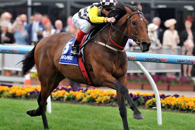 Craig Williams rides Precedence to victory in the Drake International Cup at Moonee Valley. (AAP)