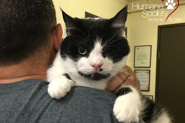 Bart survived for five days buried alive in a roadside grave back in 2015.