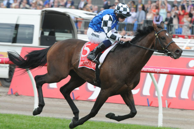 Protectionist winning last year's Melbourne Cup. (AAP)