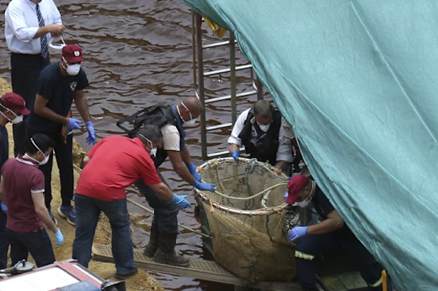 In this photo taken on Tuesday, June 4, 2019, Cyprus Special Disaster Response Unit and investigators transport a suitcase from a boat after it was retrieved from a man-made lake near the village of Mitsero, outside of the capital Nicosia, Cyprus.