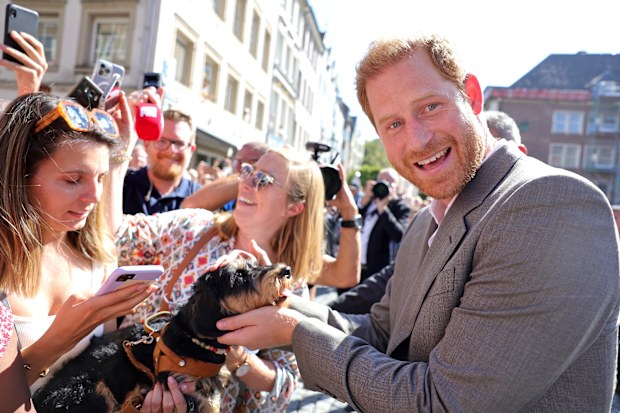 Prince Harry, Duke of Sussex is greeted by well-wishers and pets a dog outside the town hall during the Invictus Games Dusseldorf 2023 - One Year To Go events, on September 06, 2022 in Dusseldorf, Germany.  