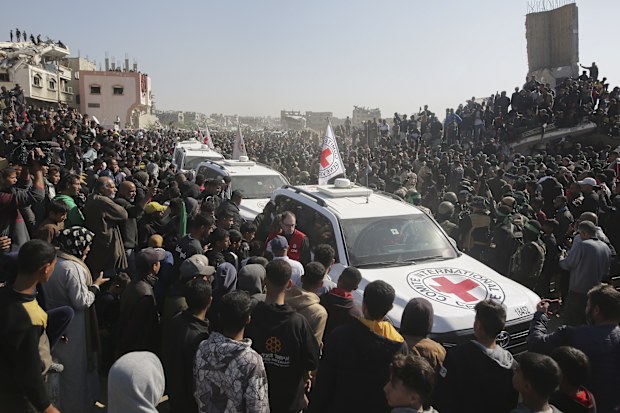 Crowd surrounds Red Cross cars 