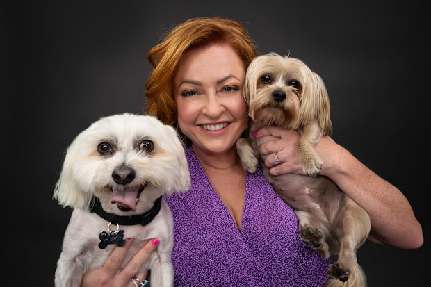 Shelly horton dogs