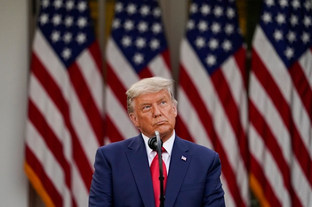 President Donald Trump speaks in the Rose Garden of the White House, Friday, Nov. 13, 2020, in Washington. (AP Photo/Evan Vucci)