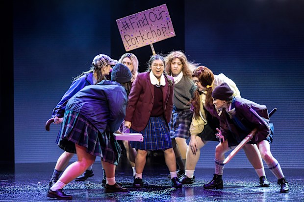 Fangirls the musical.