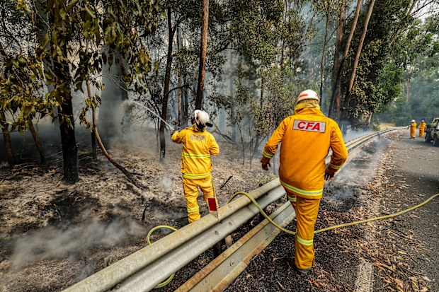 Carlisle River fire in the Otway National Park. Firefighters putting out spot fires on the Colac-Lavers Hill road.