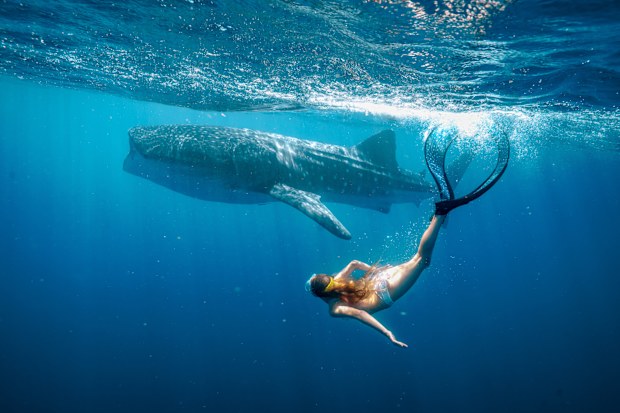 Alyla Browne in Whale Shark Jack on Stan
