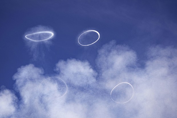 Volcanic vortex rings 