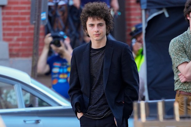 Timothee Chalamet as Bob Dylan