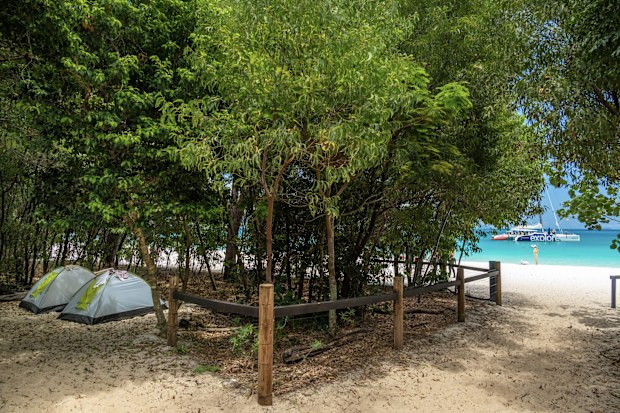 Beachfront camping on Whitsunday Island