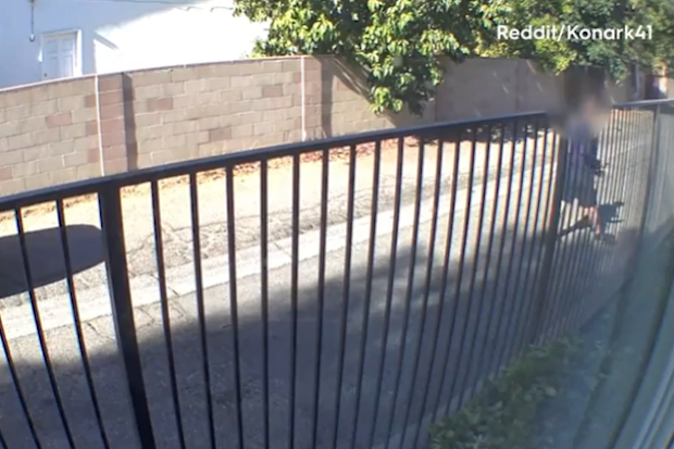 food delivery driver steals customer order