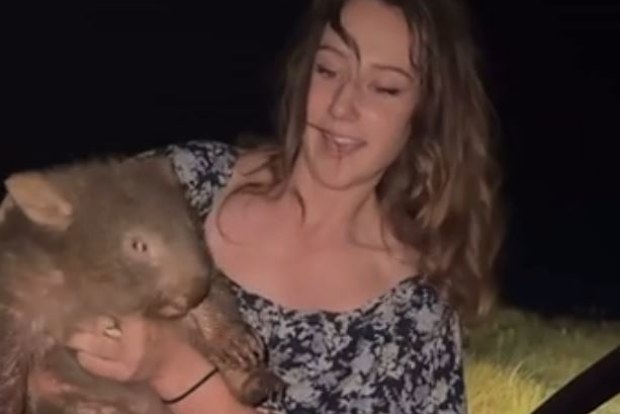 Influencer seen taking baby wombat