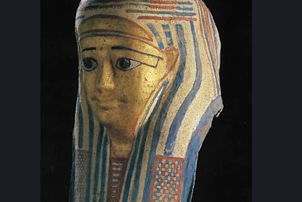 "Priceless" Egyptian artifacts have been stolen from a Queensland museum, police said.
