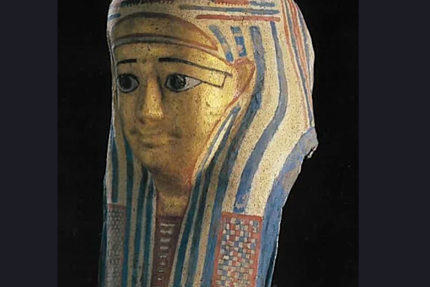 "Priceless" Egyptian artifacts have been stolen from a Queensland museum, police said.