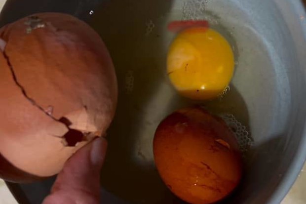 egg inside egg backyardchickens