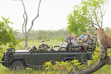 13. African Safari Tours