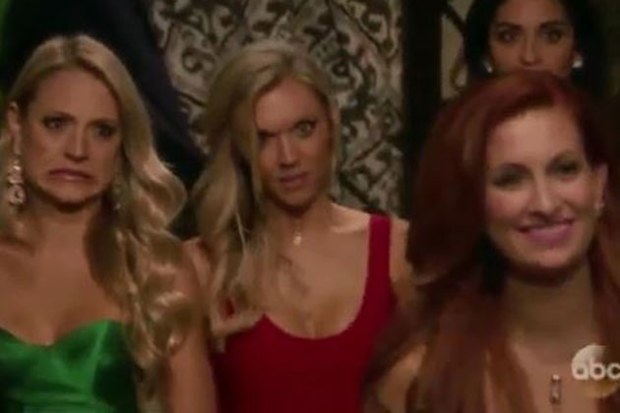 The Bachelor