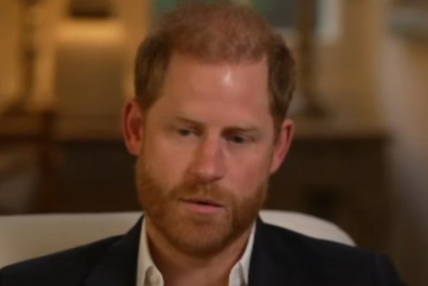 prince harry bbc interview