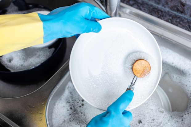 washing up brush