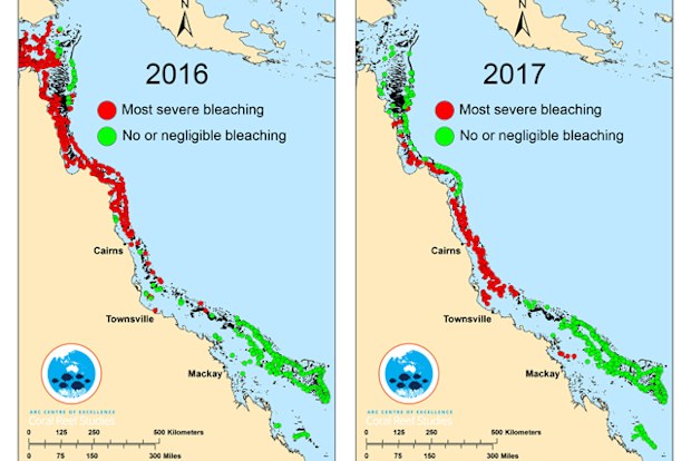 In 2016, bleaching was most severe in the northern third of the Reef, while one year on, the middle third has experienced the most intense coral bleaching. (Graphic: ARC Centre of Excellence for Coral Reef Studies)