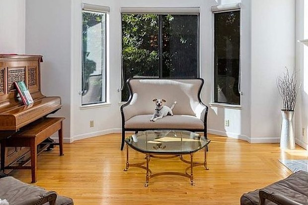 hilarious home listing features dog