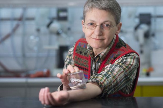 Biologist Gerhard Gries was bitten by bedbugs 180,000 times - and there's more on the way. (Simon Fraser University)