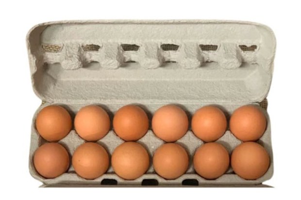 barn raised eggs on sale
