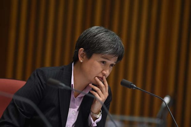 Senator Penny Wong. (AAP)