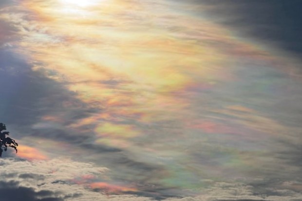 A Sydney photographer has captured a rarely observed rainbow cloud phenomenon called "irridescent clouds."Maria Milford was driving to the Gold Coast when she spotted the iridescent clouds over the sky in Woolgoolga, NSW. 
